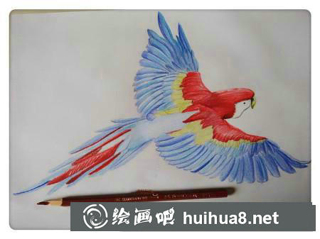 彩鉛畫(huà)教程