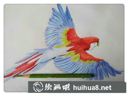 彩鉛畫(huà)教程