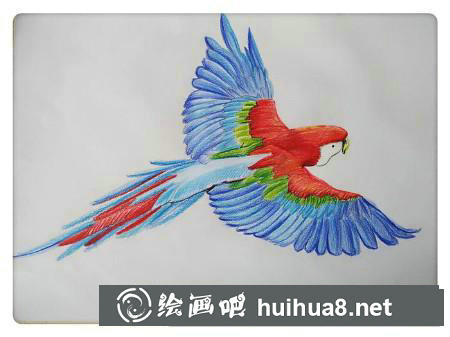 彩鉛畫(huà)教程