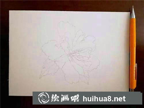 木槿花水彩畫(huà) 木槿花水彩畫(huà)