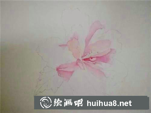 木槿花水彩畫(huà) 木槿花水彩畫(huà)