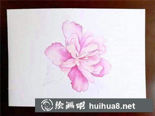 木槿花水彩畫(huà) 木槿花水彩畫(huà)