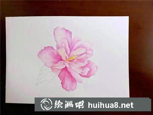木槿花水彩畫(huà) 木槿花水彩畫(huà)