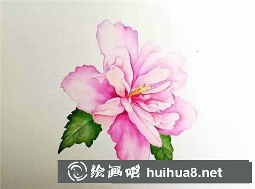 木槿花水彩畫(huà) 木槿花水彩畫(huà)