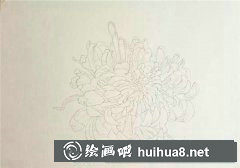 金背大紅菊花水彩畫(huà)教學(xué)指南
