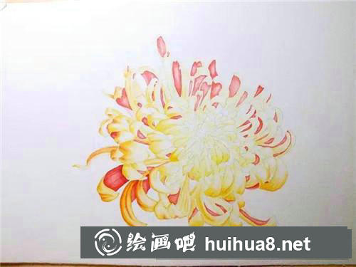 金背大紅菊花水彩畫(huà)