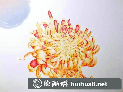 金背大紅菊花水彩畫(huà)