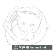 毛茸茸貓咪彩鉛畫教學(xué)指南