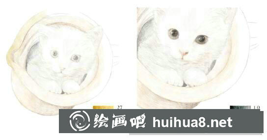 貓咪彩鉛畫