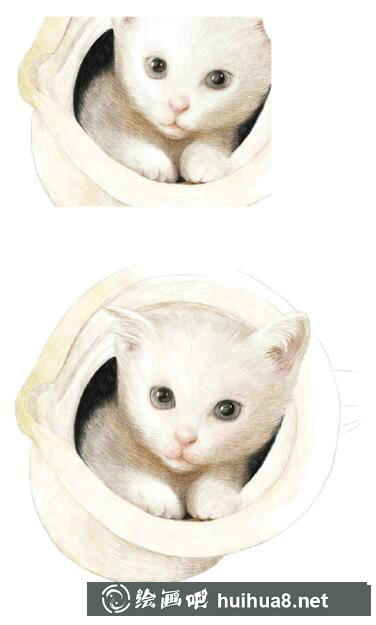貓咪彩鉛畫