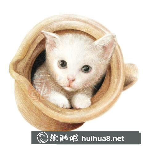 貓咪彩鉛畫
