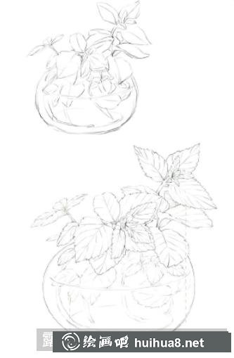 怎么畫薄荷