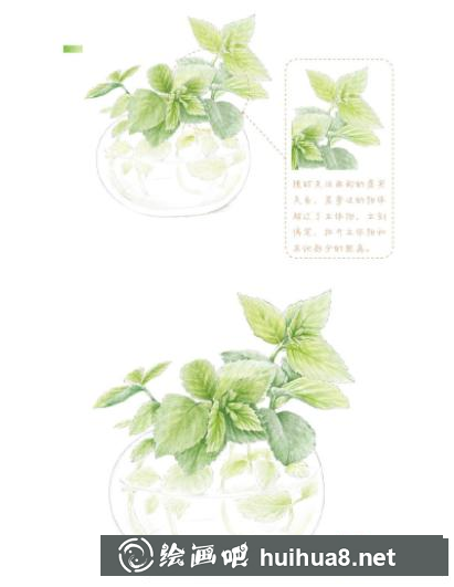 怎么畫薄荷