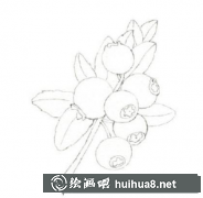 藍(lán)莓水彩畫(huà)美味教程
