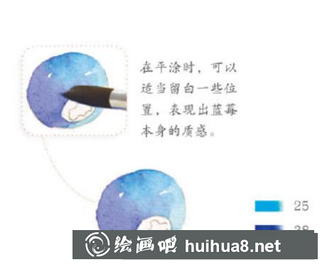 美味藍莓水彩畫教程