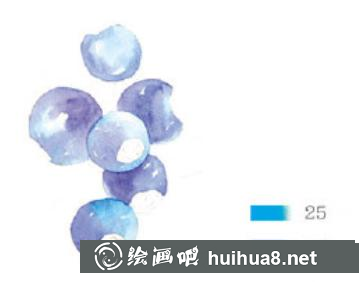 美味藍莓水彩畫教程