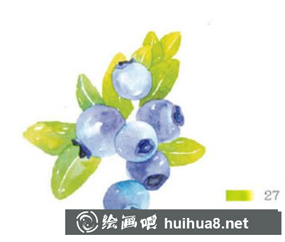 美味藍莓水彩畫教程