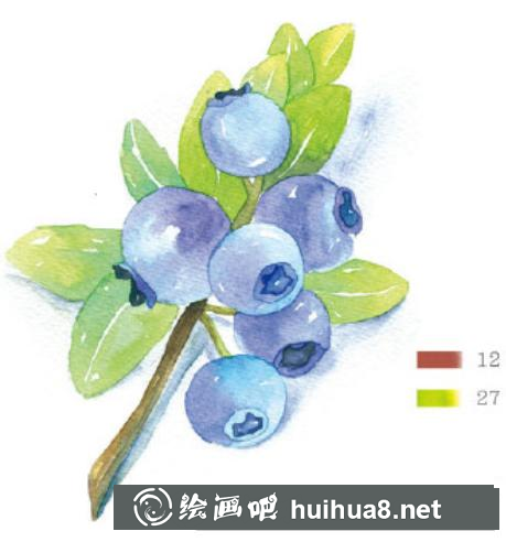 美味藍莓水彩畫教程