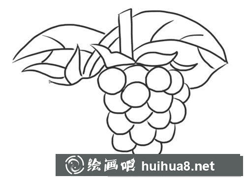 簡筆畫葡萄怎么畫