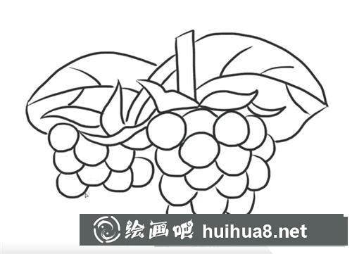 簡筆畫葡萄怎么畫