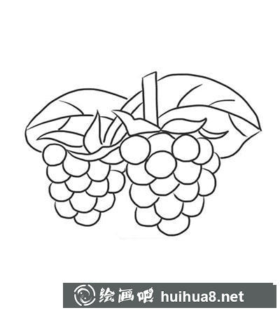 簡筆畫葡萄怎么畫