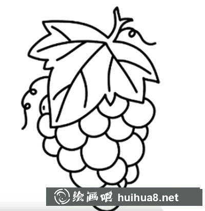 兒童畫葡萄怎么繪制