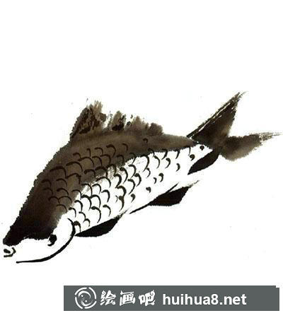 國(guó)畫鯽魚怎么畫 國(guó)畫鯽魚怎么畫