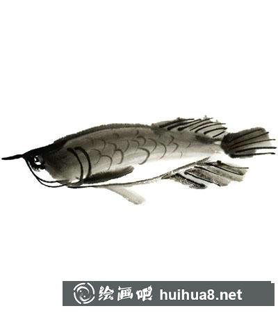 國畫金龍魚怎么畫 國畫金龍魚怎么畫