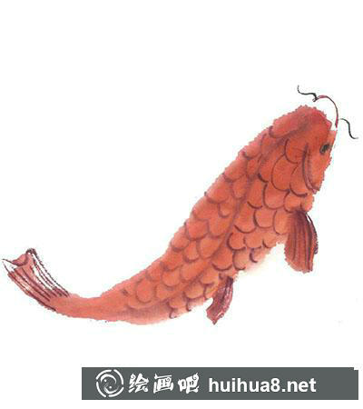 國畫鯉魚怎么畫