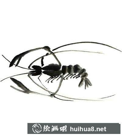 國畫對蝦怎么畫 國畫對蝦怎么畫