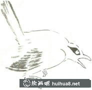 國畫黃鸝鳥繪制技巧