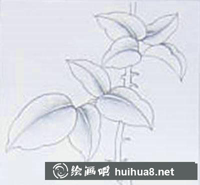 玫瑰葉子著色畫法