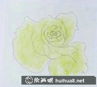 粉色玫瑰繪畫教程揭秘