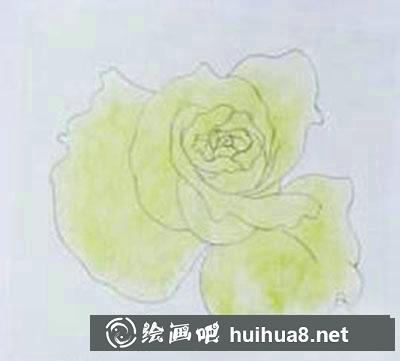 粉色玫瑰著色畫(huà)法教程 粉色玫瑰著色畫(huà)法教程