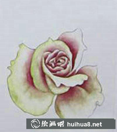 粉色玫瑰著色畫(huà)法教程 粉色玫瑰著色畫(huà)法教程