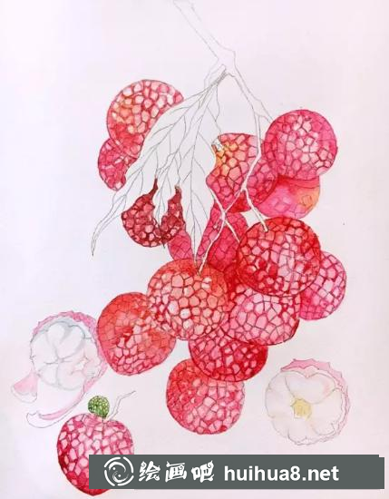 水彩畫藍(lán)莓
