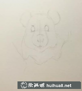 彩鉛金絲熊繪畫教程步驟