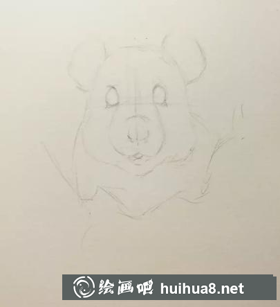 彩鉛畫金絲熊