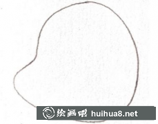 毛毛蟲繪畫教程步驟詳析