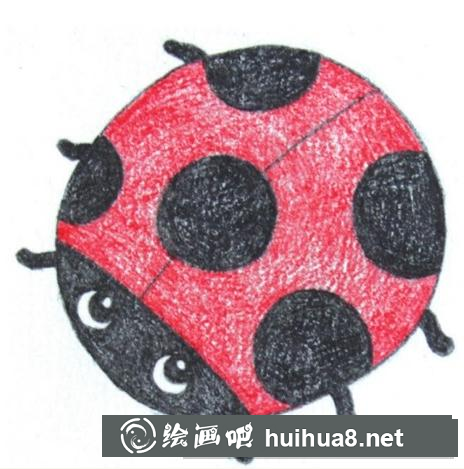 七星瓢蟲的畫法