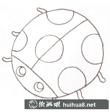 七星瓢蟲的畫法