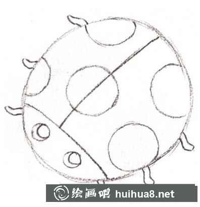七星瓢蟲的畫法
