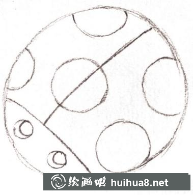 七星瓢蟲的畫法