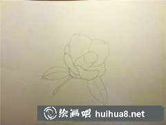 單瓣茶花水彩畫教學(xué)步驟