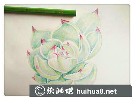彩鉛畫教程