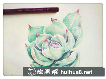 彩鉛畫教程