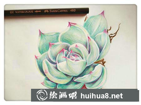 彩鉛畫教程
