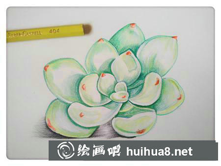 彩鉛畫教程