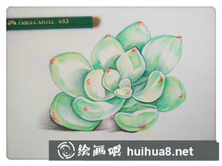 彩鉛畫教程