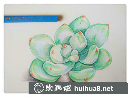 彩鉛畫教程